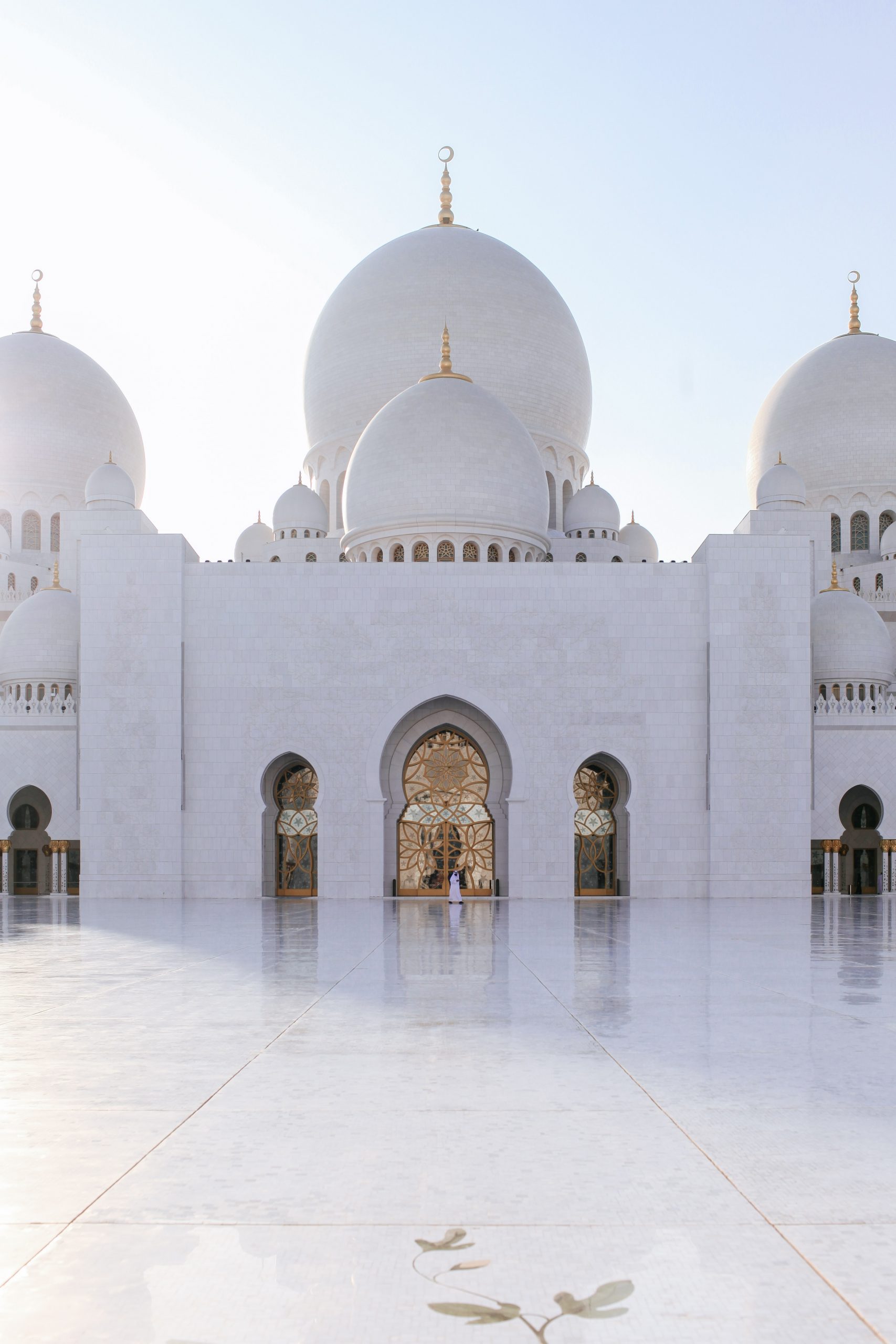 ryan-miglinczy-fQtFfvedV-8-unsplash