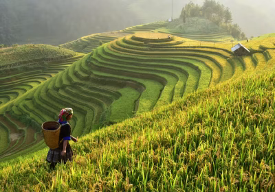 Visa Vietnam pour Marocains